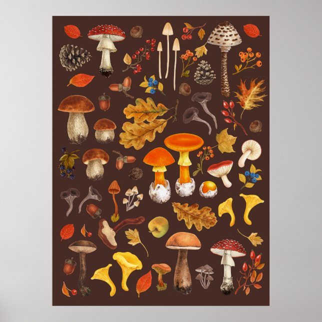Poster Champignons sauvages sur brun (Devant)