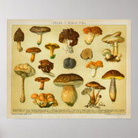 Champignons vintages Pilze Variété Tabourets Impri