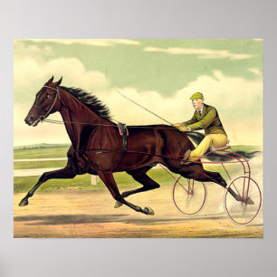 Poster Champion boudeur SUPÉRIEUR