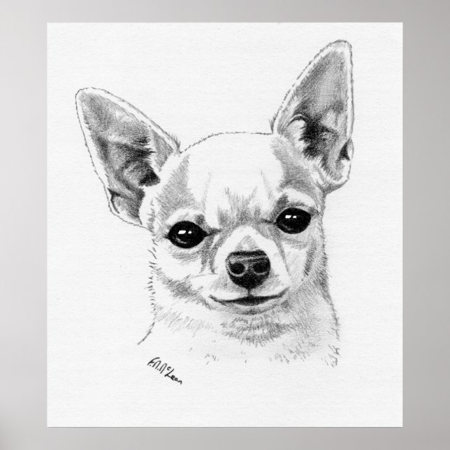 Poster Champion du Chihuahua (Devant)