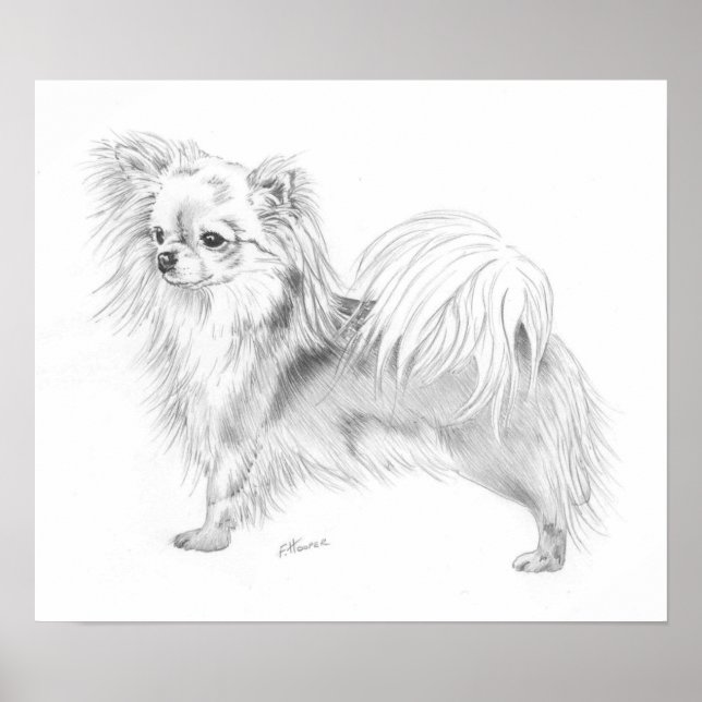 Poster Championne du Longcoat Chihuahua (Devant)