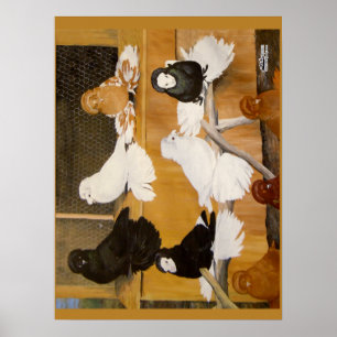 Poster Champions Trumpeter Pigeon