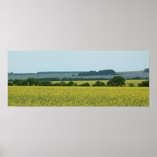 Poster Champs (Devant)