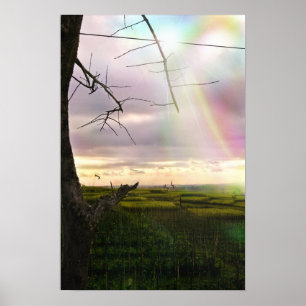 Poster Champs de Bali