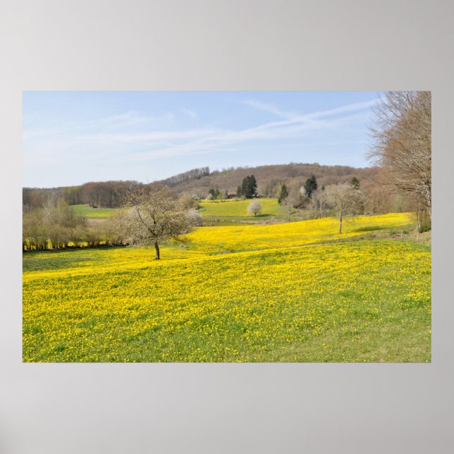 Poster Champs de Dandelion (Devant)