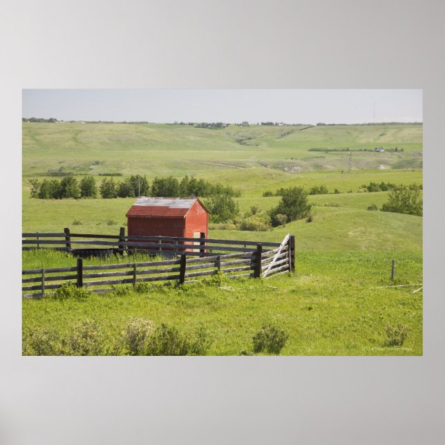 Poster Champs De Pâturage Avec Une Cabane Rouge Et Une Zo (Devant)