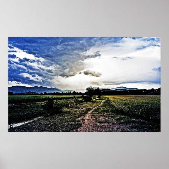 Poster Champs de riz sur le chemin (Devant)