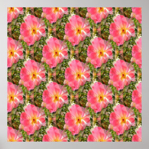 Poster Champs de Roses....