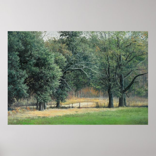 Poster Champs de Tallahassee 1 (Devant)