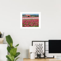 Champs de Tulipes Roses Photographie Florale