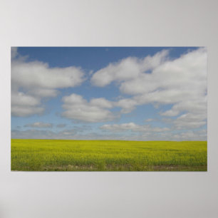Poster Champs des Prairies Imprimer Imprimantes du paysag