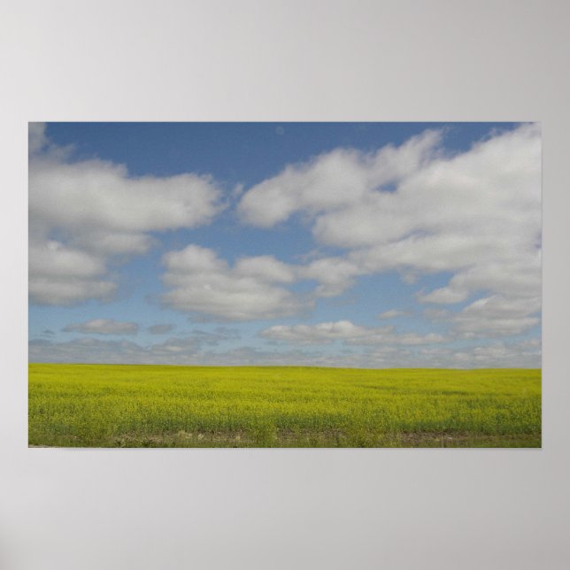 Poster Champs des Prairies Imprimer Imprimantes du paysag (Devant)