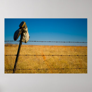 Poster Champs solitaires