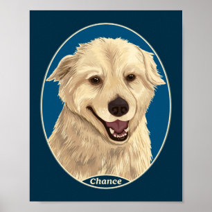 Poster Chance