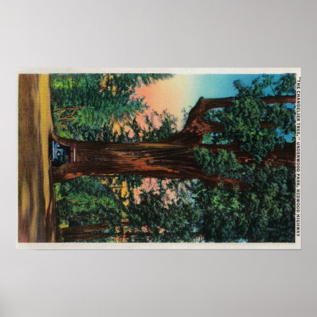 Poster Chandelier, Underwood Park (Devant)