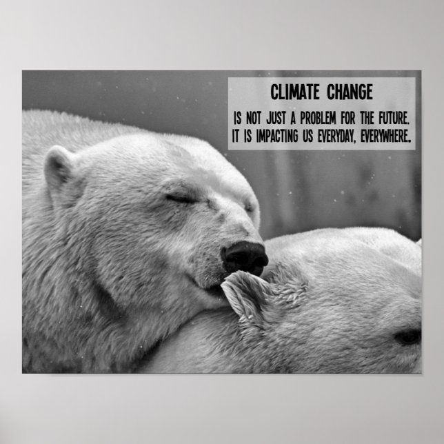 Poster Changement climatique noir et blanc avec ours pola (Devant)