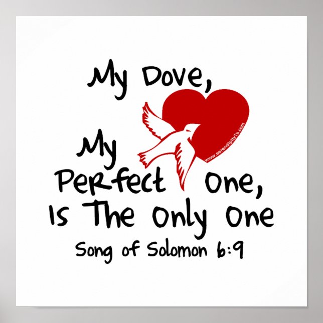 Poster Chanson de Salomon 6:9 (Devant)