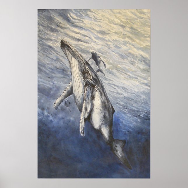 Poster chant de baleine (Devant)