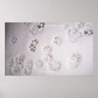 Poster chaos dans la neige fraîche tombée
