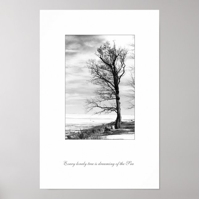 Poster Chaque arbre solitaire rêve de la mer (Devant)