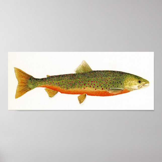 Poster Char arctique aux couleurs de frai (Devant)