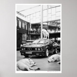 Poster Charbon du loup d'Ivoire | Wolfs et une voiture