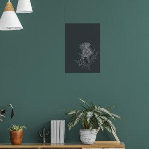 Poster Chardon écossais gris foncé Ar botanique minimalis