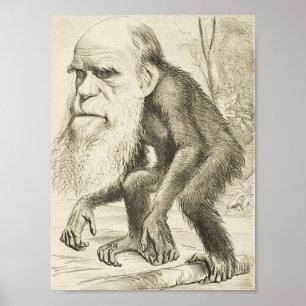 Poster Charles Darwin