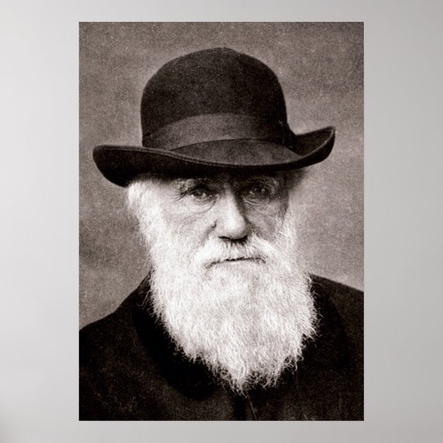 Poster Charles Darwin (Devant)