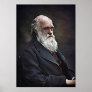 Poster Charles Darwin 1878 Colorisé