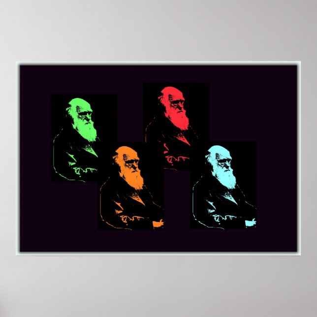 Poster Charles Darwin Collage (Devant)