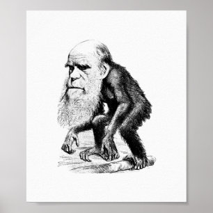 Poster Charles Darwin Comme Un Ape