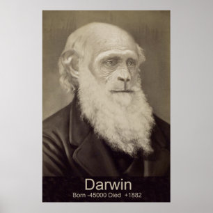 Poster Charles Darwin La descente de Man Darwin Portrait