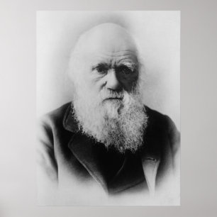 Poster Charles Darwin Portrait par Elliott et Fry