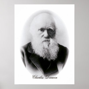 Poster Charles Darwin Vignette