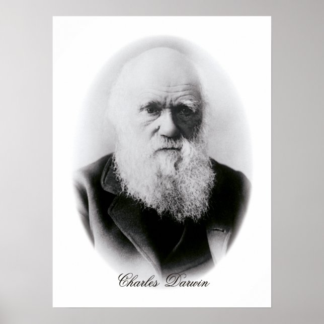 Poster Charles Darwin Vignette (Devant)