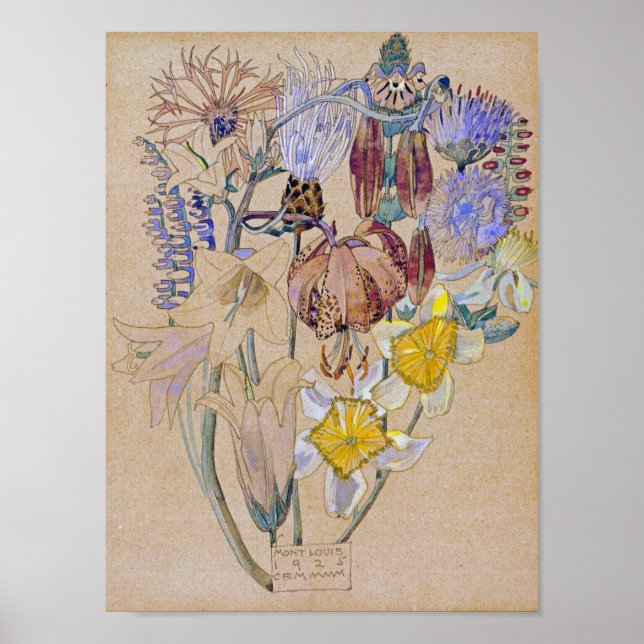 Poster Charles Rennie Mackintosh - Mont Louis - Fleur (Devant)