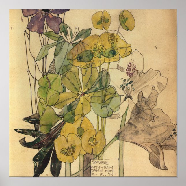 Poster Charles Rennie Mackintosh - Spurge With Yham 1909 (Devant)