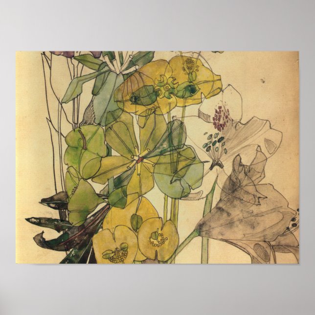 Poster Charles Rennie Mackintosh - Spurge With Yham 1909 (Devant)