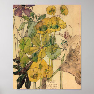 Poster Charles Rennie Mackintosh - Spurge With Yham 1909
