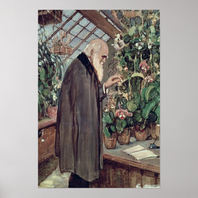 Poster Charles Robert Darwin (Devant)