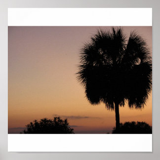 Poster Charleston Palm