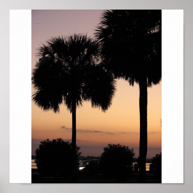 Poster Charleston Sunset (Devant)