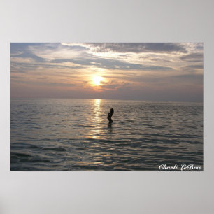 Poster Charli sur la plage