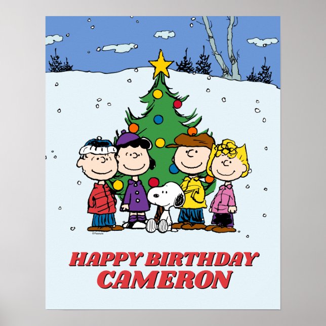Poster Charlie Brown et ses amis Anniversaire d'hiver (Devant)