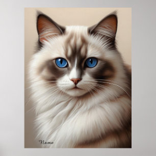 Poster Charmant Ragdoll Chat Art Pet Lover