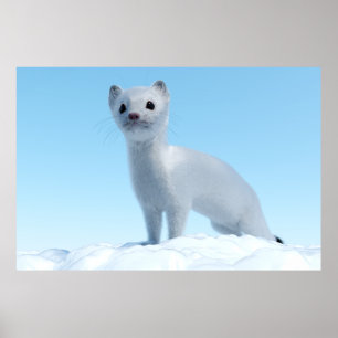 Poster Charme de la belette arctique