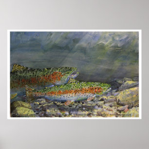 Poster Chasing Rainbows