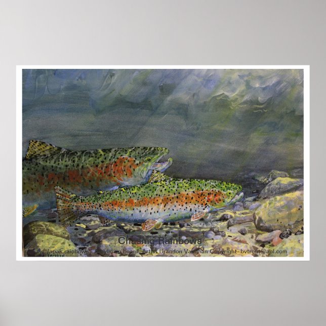 Poster Chasing Rainbows (Devant)