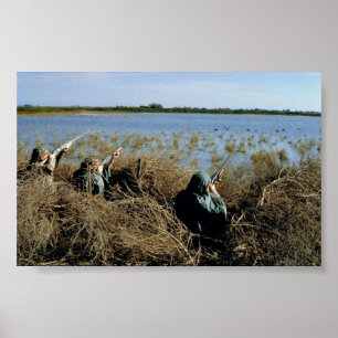 Poster Chasse à la sauvagine